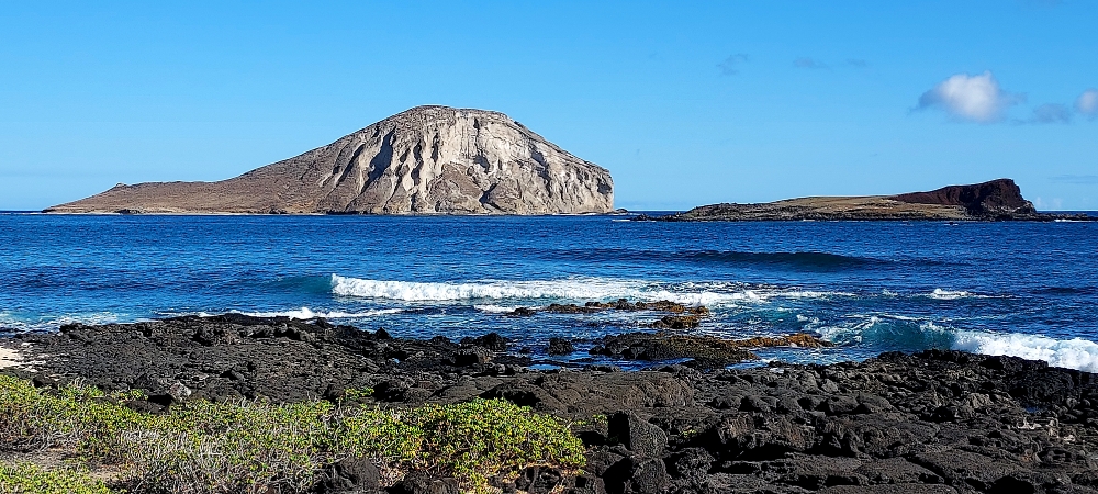 Next Picture